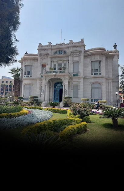 جامعة عين شمس الأهلية