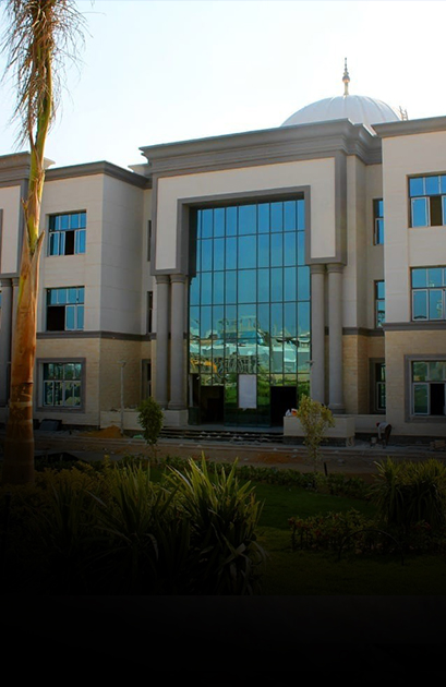 جامعة بنها الأهلية