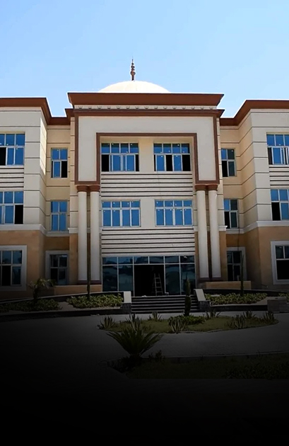 جامعة بنى سويف الأهلية