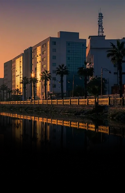 جامعة دمنهور الأهلية