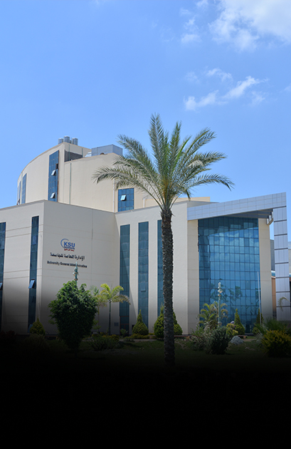 جامعة كفر الشيخ الأهلية