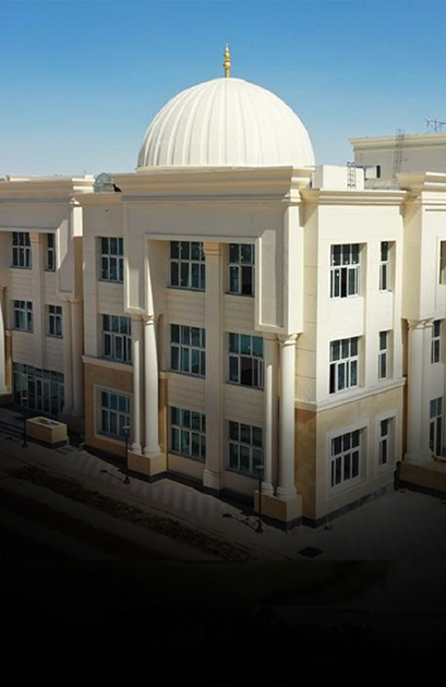 جامعة المنيا الأهلية
