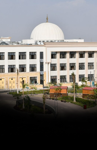 جامعة الاسماعلية الجديدة الأهلية