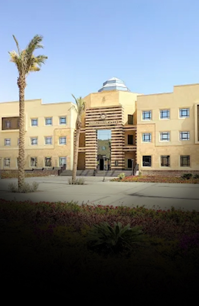 جامعة الملك سلمان الدولية