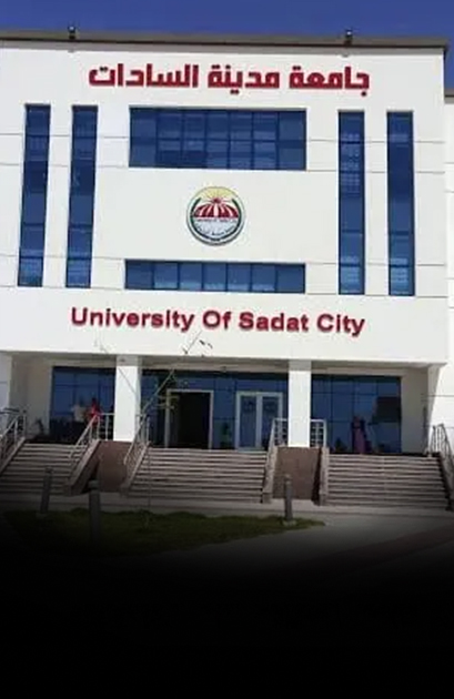 جامعة مدينة السادات الأهلية