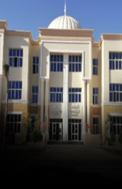 جامعة الزقازيق الأهلية